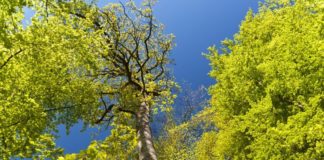 Kom op på cyklen og ud