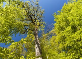 Kom op på cyklen og ud