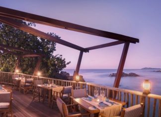 Den rette drømmerejse