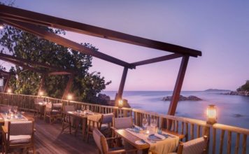 Den rette drømmerejse