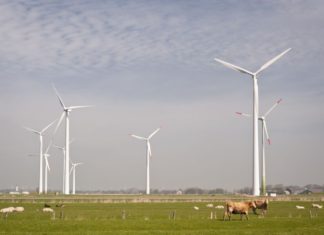 Gør din elektricitet billig med solceller