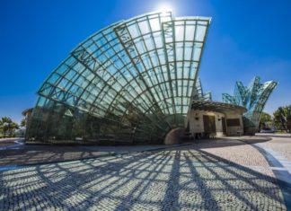 Få et sundere og gladere liv med et kæledyr