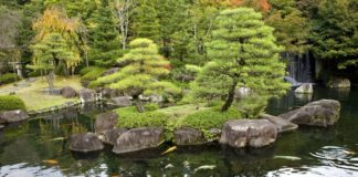 Brug mindre energi til dagligt og foruren mindre