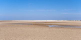 Find ind til roen ude i naturen