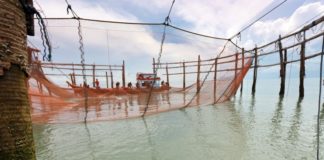 Fang din egen mad og grill den