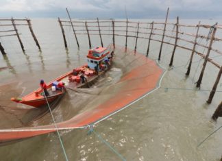 Lev enkelt og mere bæredygtigt