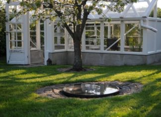 Et stort udvalg af planter og grønt