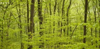 Spis udendørs og få en dejlig oplevelse