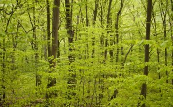 Spis udendørs og få en dejlig oplevelse