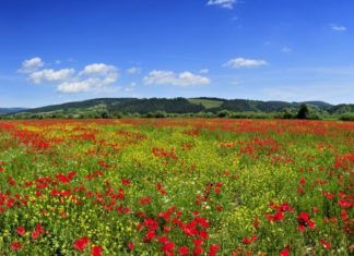 Kom ud i den smukke danske natur