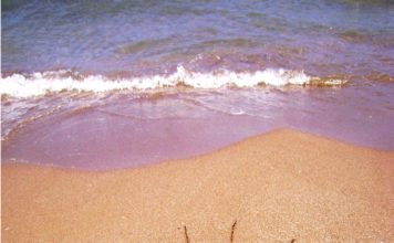 Sommerophold i Vejle