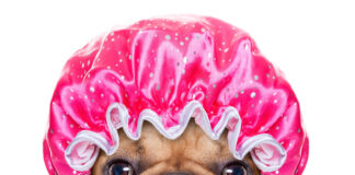 De mange fordele ved brusere