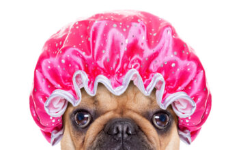 De mange fordele ved brusere