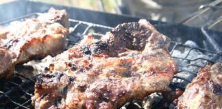 Robotter i restaurationsbranchen