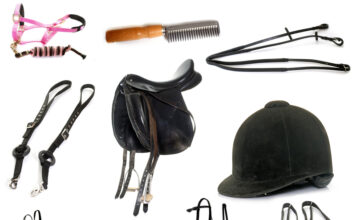 udvalg af udstyr til heste og ryttere