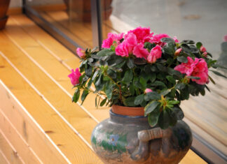 Mangler du potteskjuler? Her er nogle gode muligheder