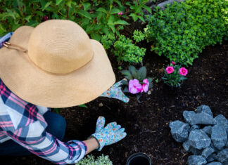 Ekspertråd til effektiv havevedligeholdelse
